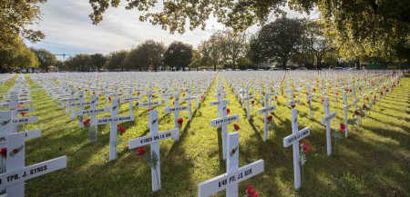 Anzac crosses cropped