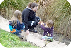 Paeroa reserve spruced